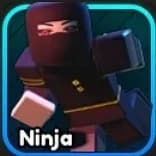 Ninja